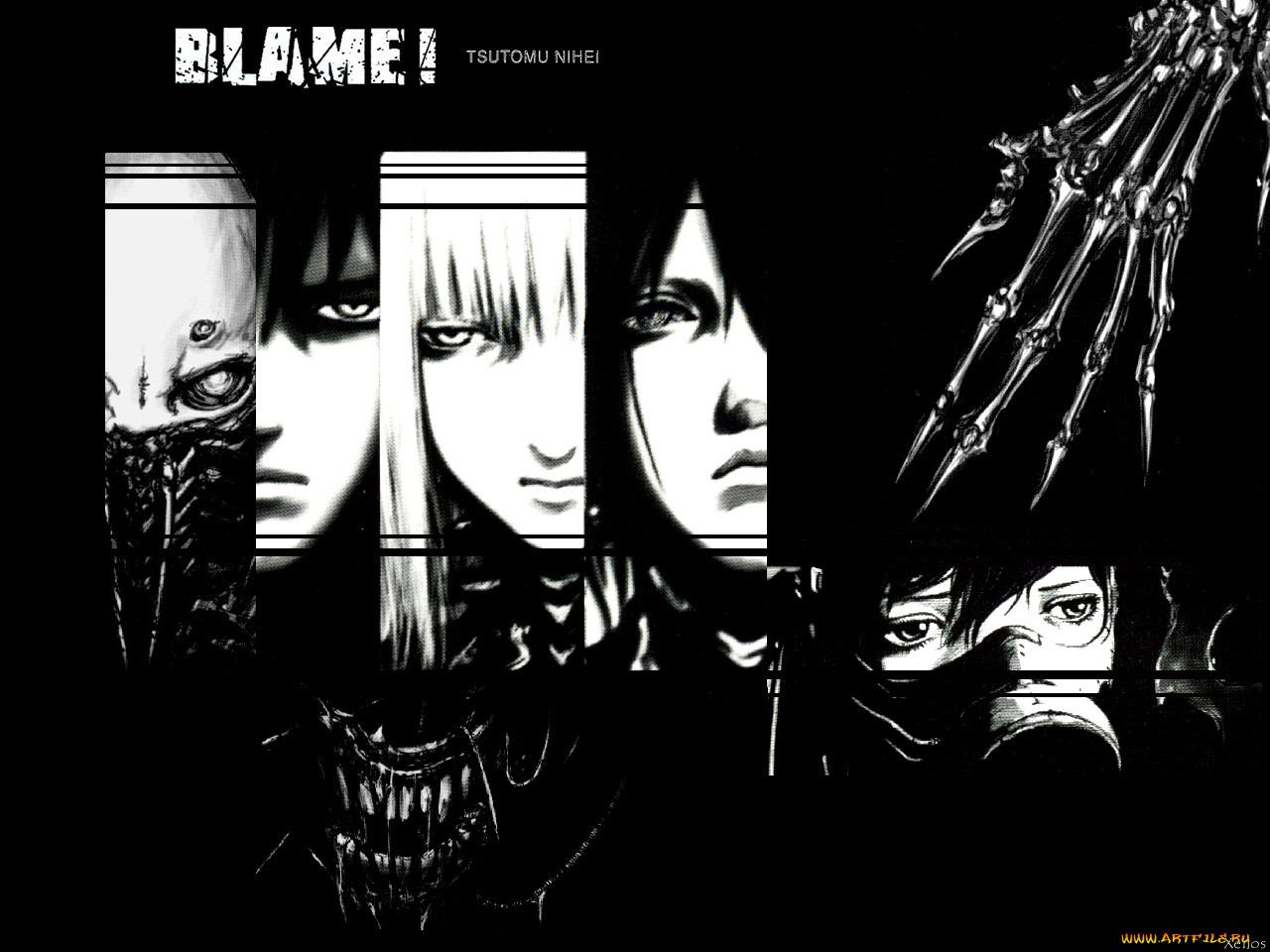, blame